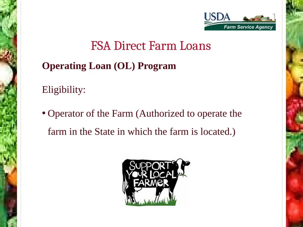 FSA Farm Loan Programs Norman Cummins USDA/FSA - slide 32 of 56