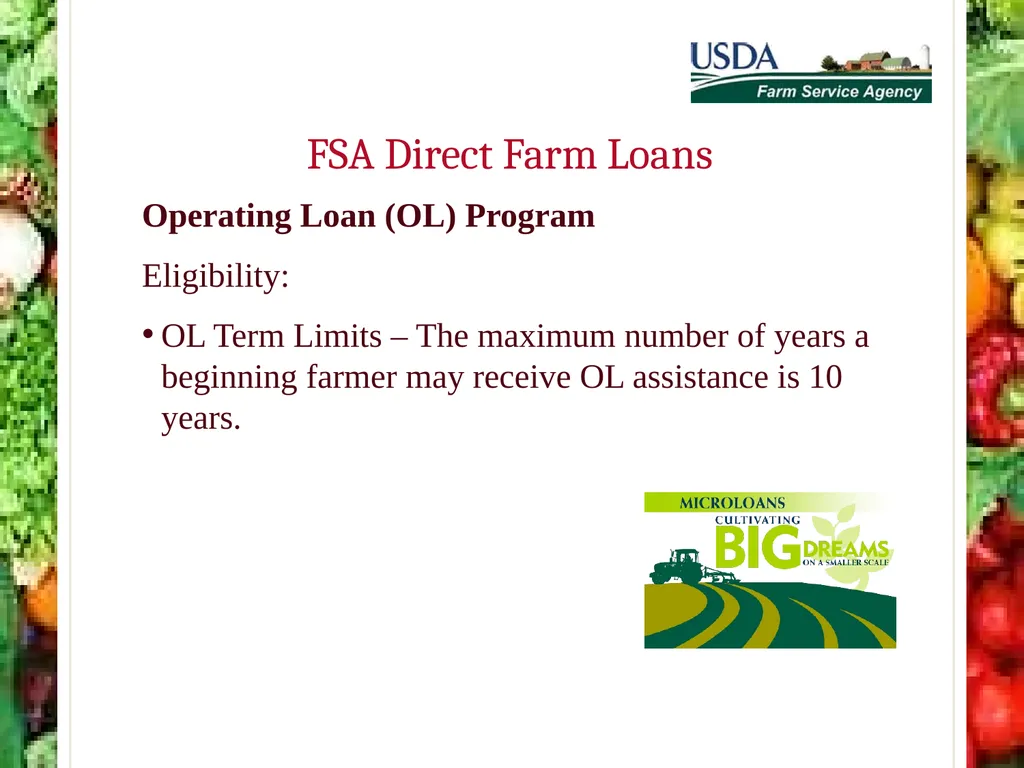 FSA Farm Loan Programs Norman Cummins USDA/FSA - slide 34 of 56