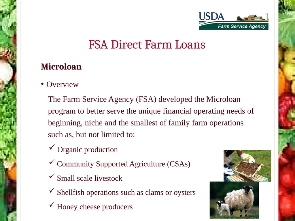 FSA Farm Loan Programs Norman Cummins USDA/FSA - slide 38 of 56