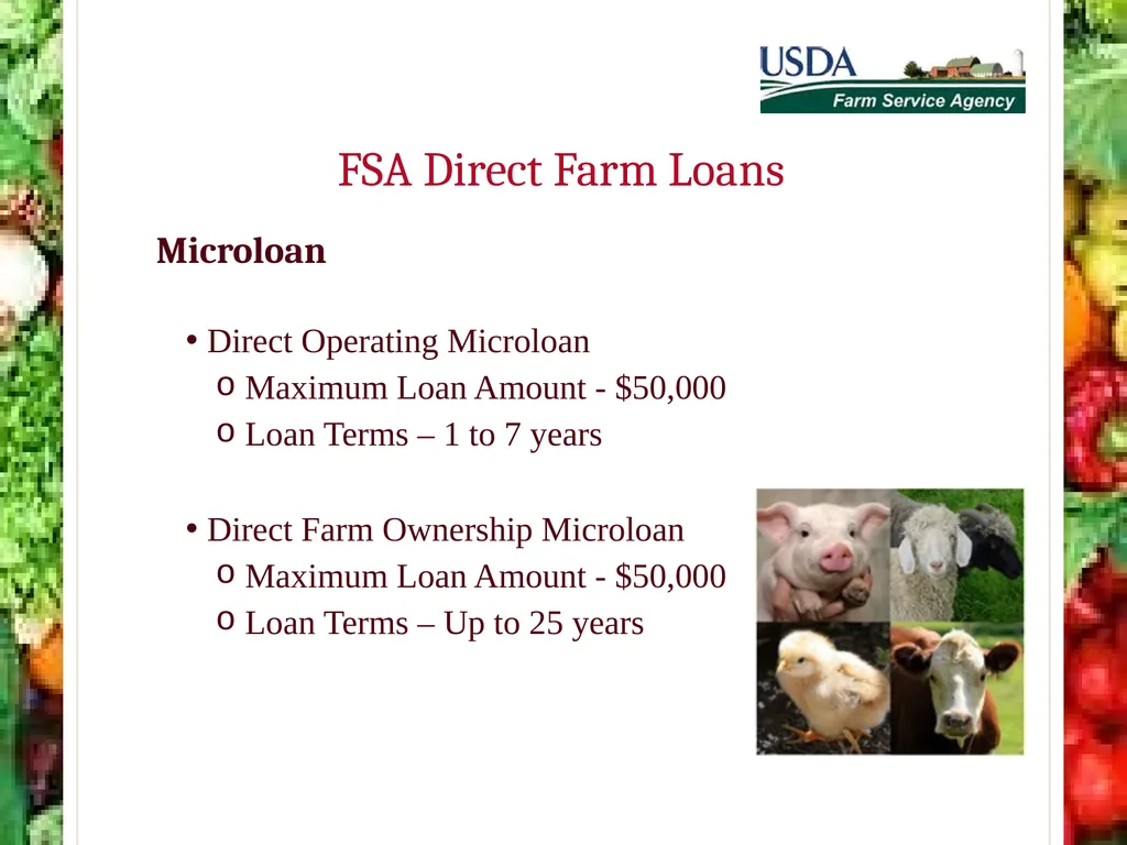 FSA Farm Loan Programs Norman Cummins USDA/FSA - slide 39 of 56