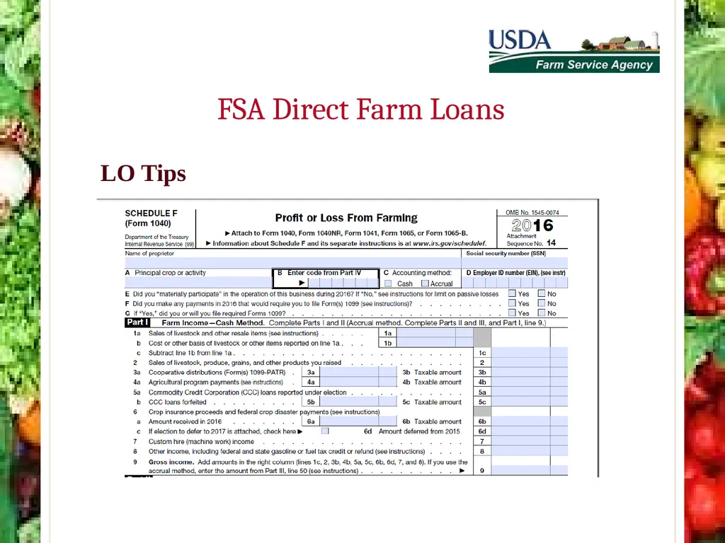 FSA Farm Loan Programs Norman Cummins USDA/FSA - slide 51 of 56