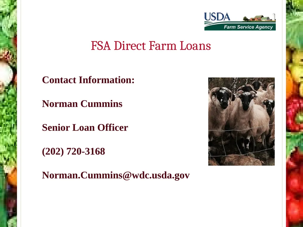 FSA Farm Loan Programs Norman Cummins USDA/FSA - slide 55 of 56