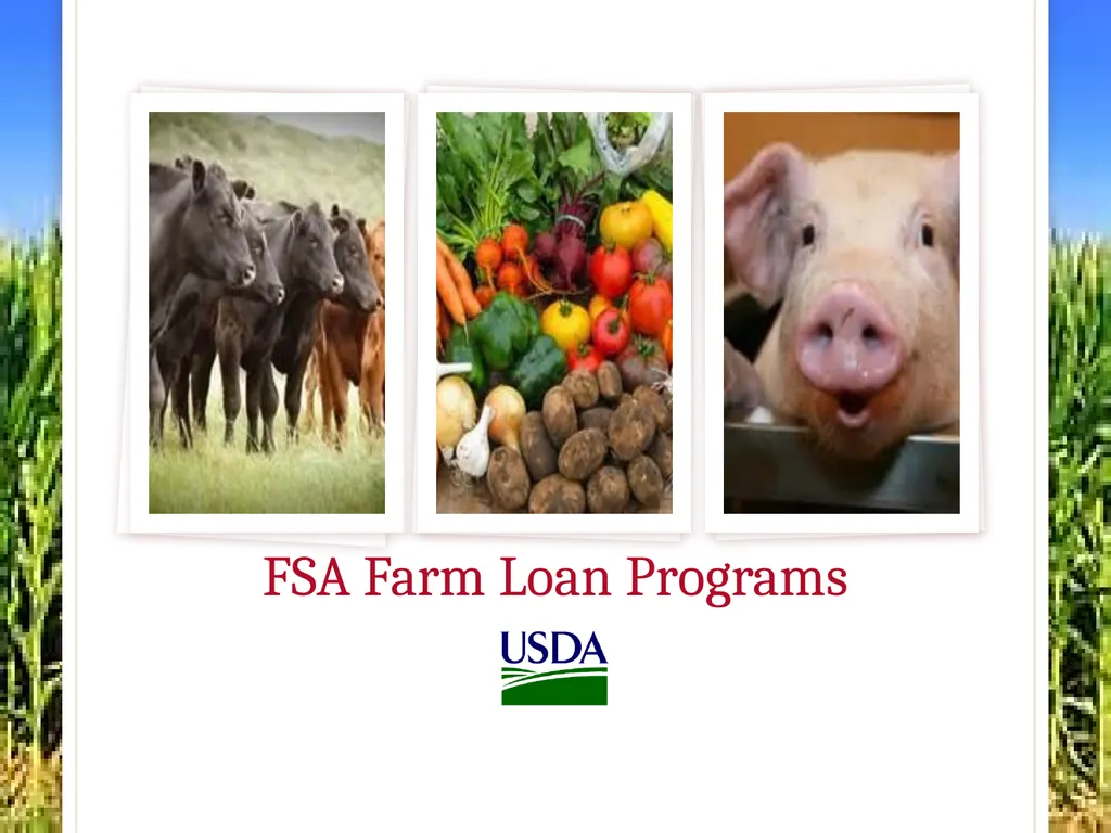 FSA Farm Loan Programs Norman Cummins USDA/FSA - slide 6 of 56