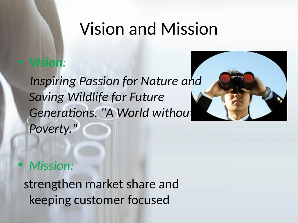 WELCOME PROFILE Parent Company Category Sector - slide 4 of 15