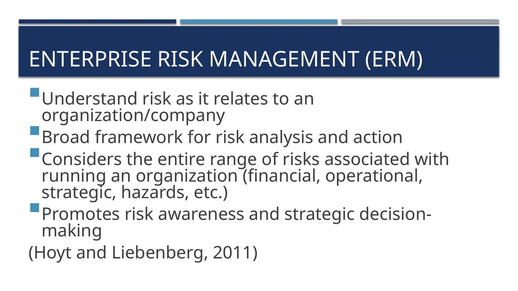 Risk Management Approaches to, problems with, and - slide 11 of 13