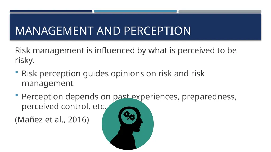 Risk Management Approaches to, problems with, and - slide 4 of 13