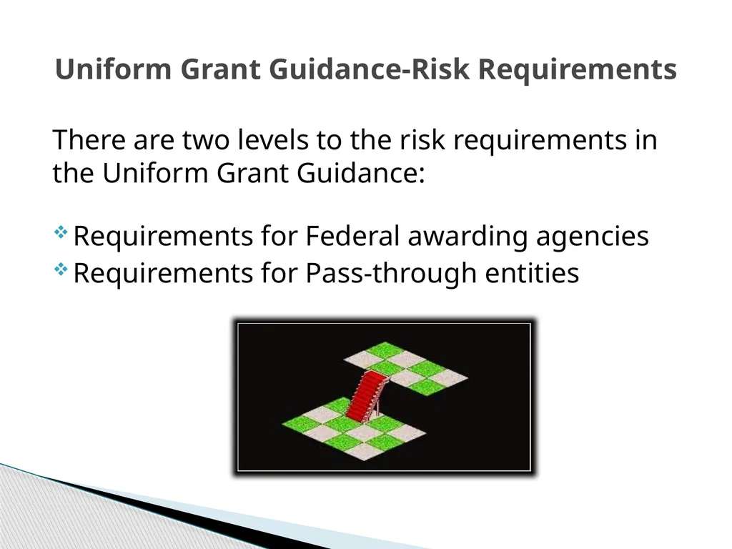 Uniform Grant Guidance Roundtable Risk Assessments - slide 5 of 22