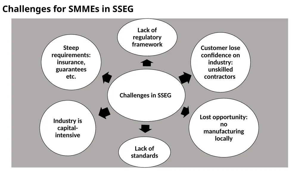 A Strategy for SMME Participation in the RE - slide 8 of 12