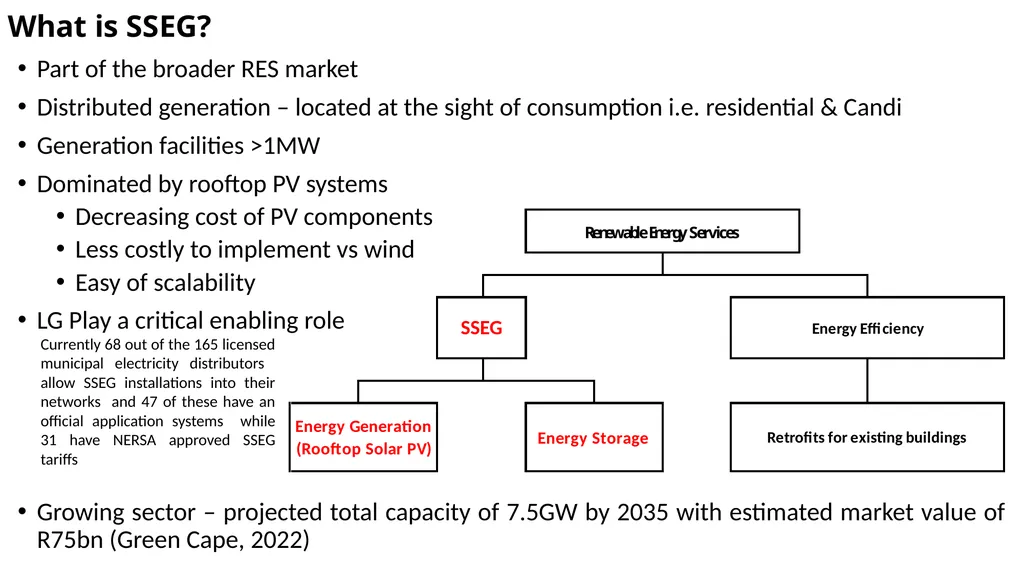 A Strategy for SMME Participation in the RE - slide 6 of 12