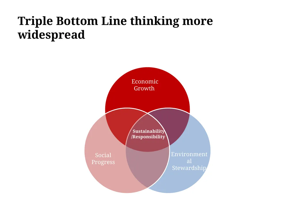 NVGs: Contextualising Responsible Business - slide 5 of 26