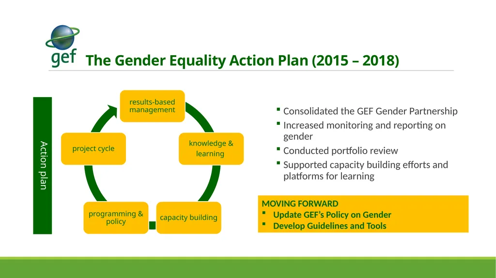 stakeholder engagement and gender mainstreaming - slide 12 of 13
