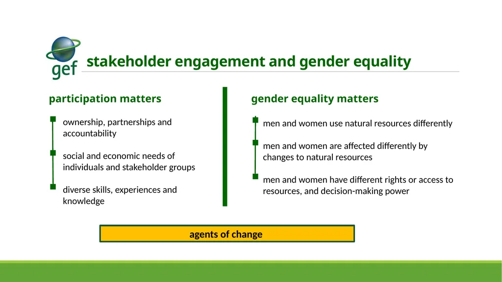 stakeholder engagement and gender mainstreaming - slide 3 of 13