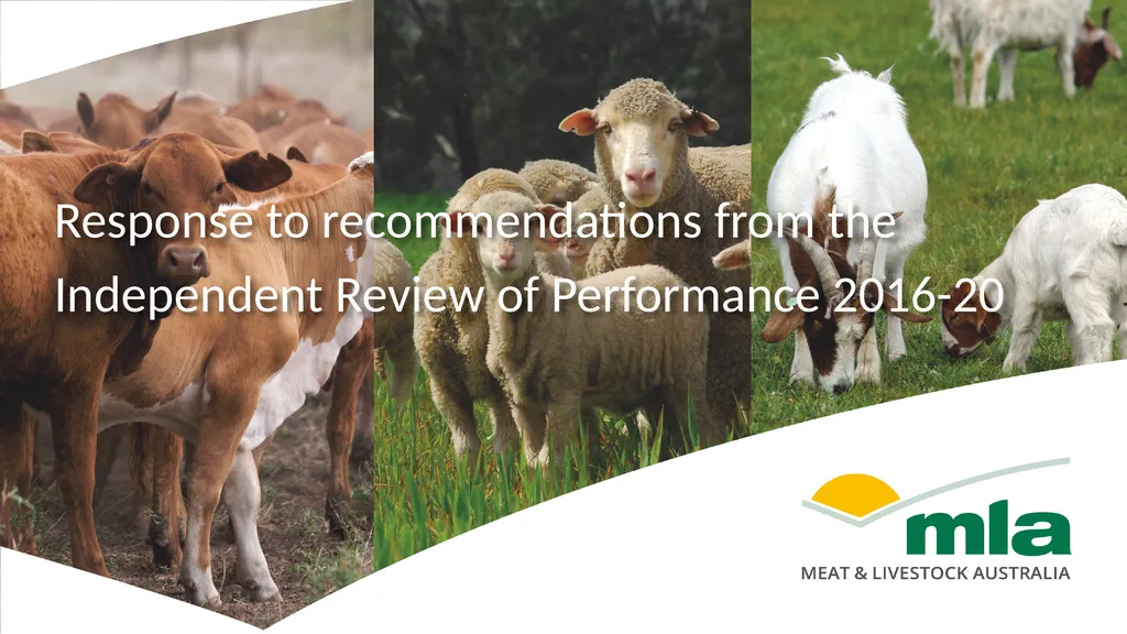 Response to recommendations from the Independent