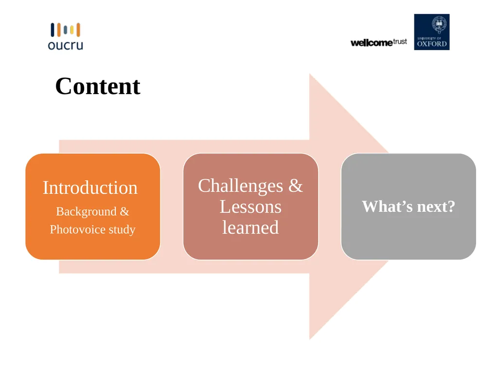 Challenges and Lessons Learned in the Development - slide 2 of 12