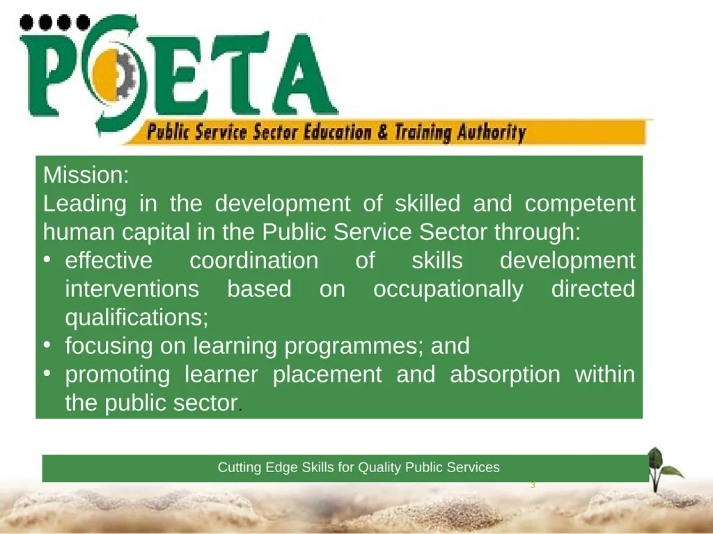 1 Towards a Skilled & Capable Public Service - slide 3 of 33