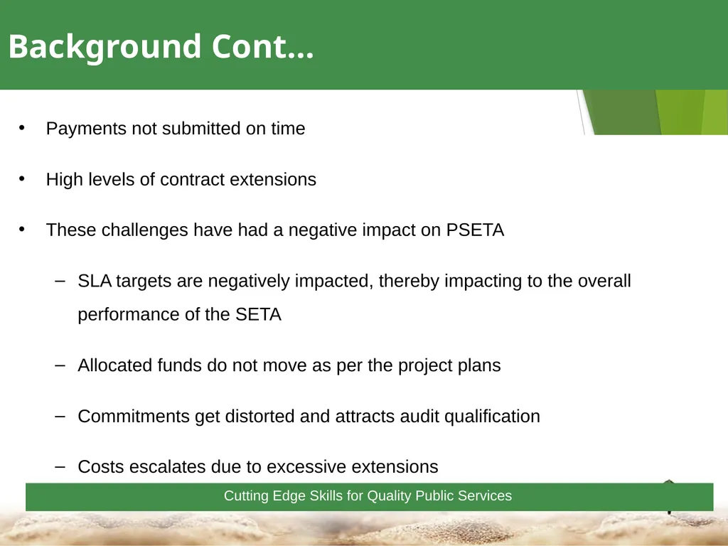 1 Towards a Skilled & Capable Public Service - slide 11 of 33