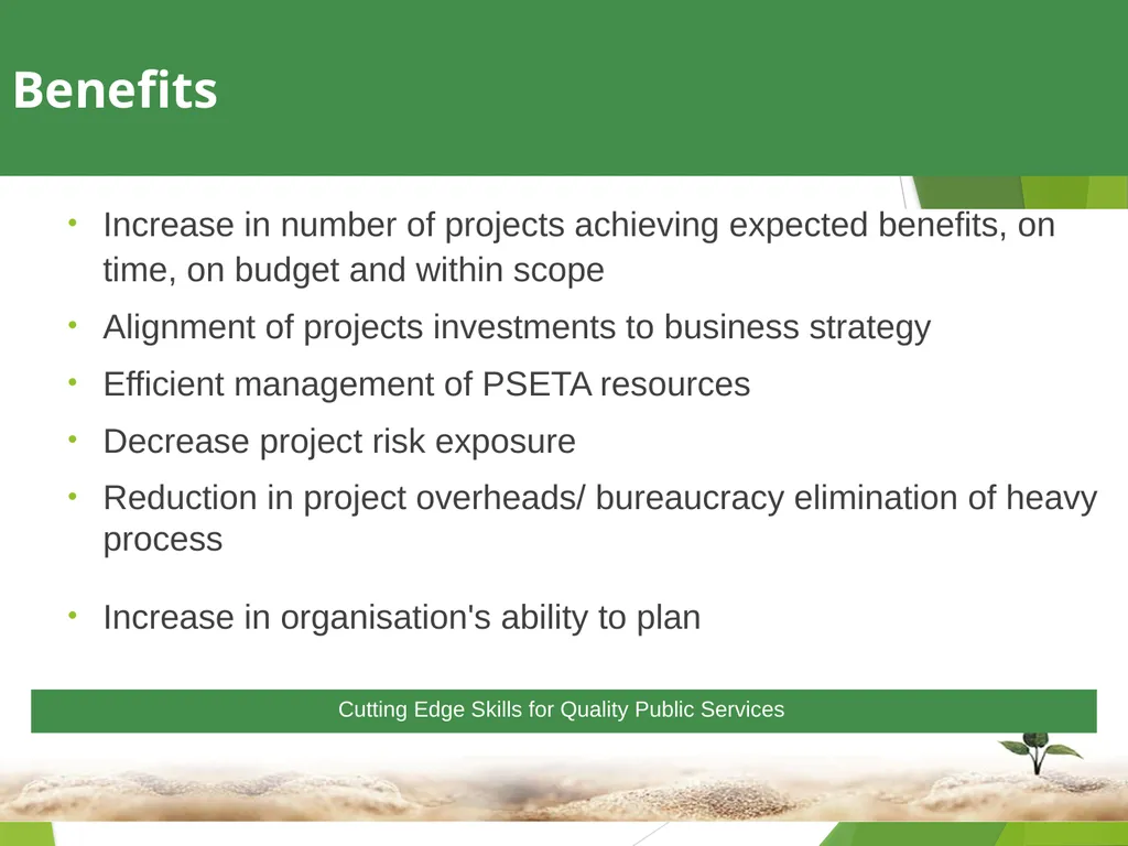 1 Towards a Skilled & Capable Public Service - slide 17 of 33