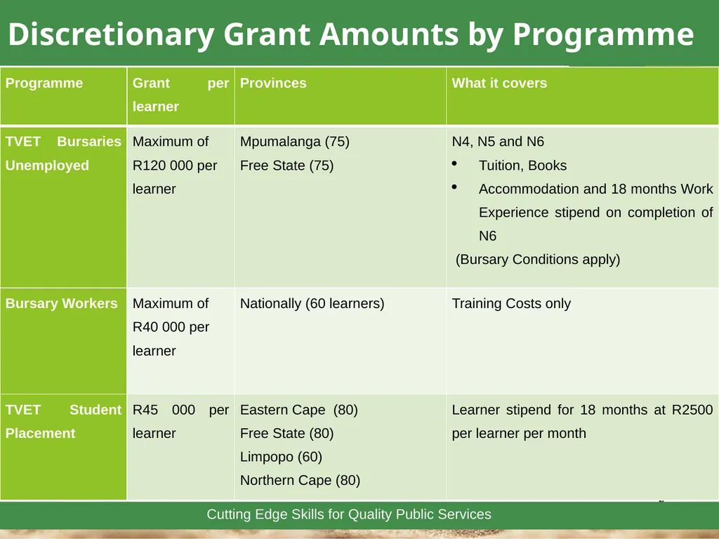 1 Towards a Skilled & Capable Public Service - slide 24 of 33