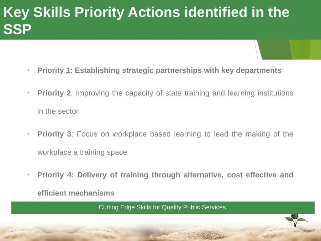 1 Towards a Skilled & Capable Public Service - slide 7 of 33
