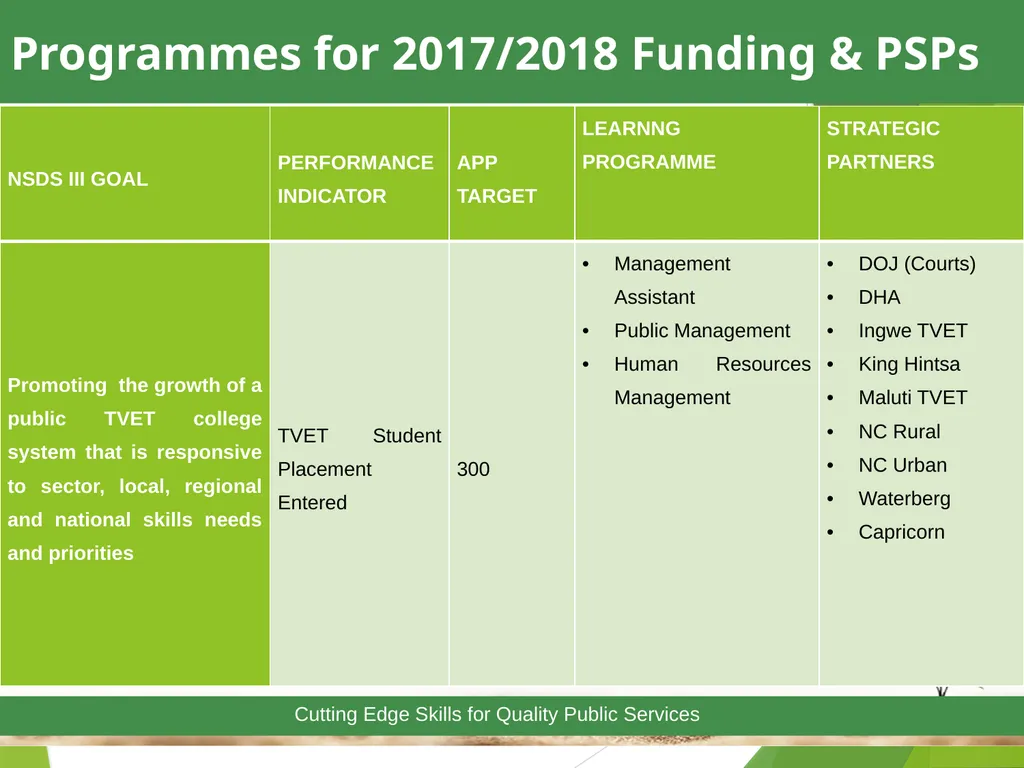 1 Towards a Skilled & Capable Public Service - slide 21 of 33