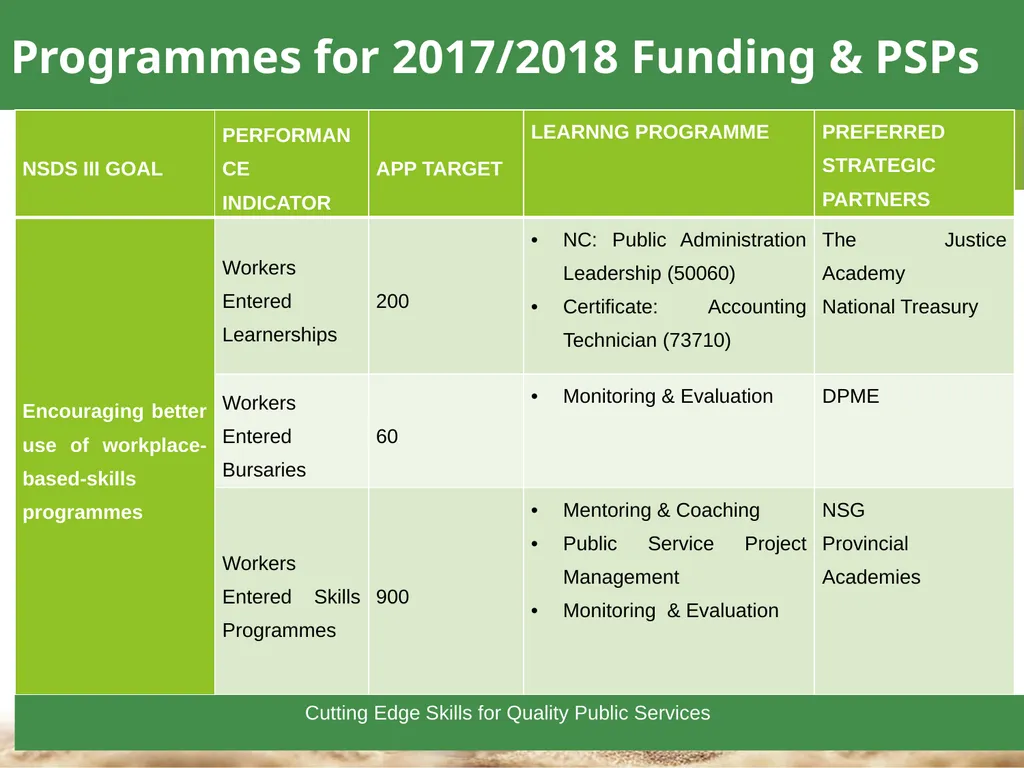 1 Towards a Skilled & Capable Public Service - slide 22 of 33