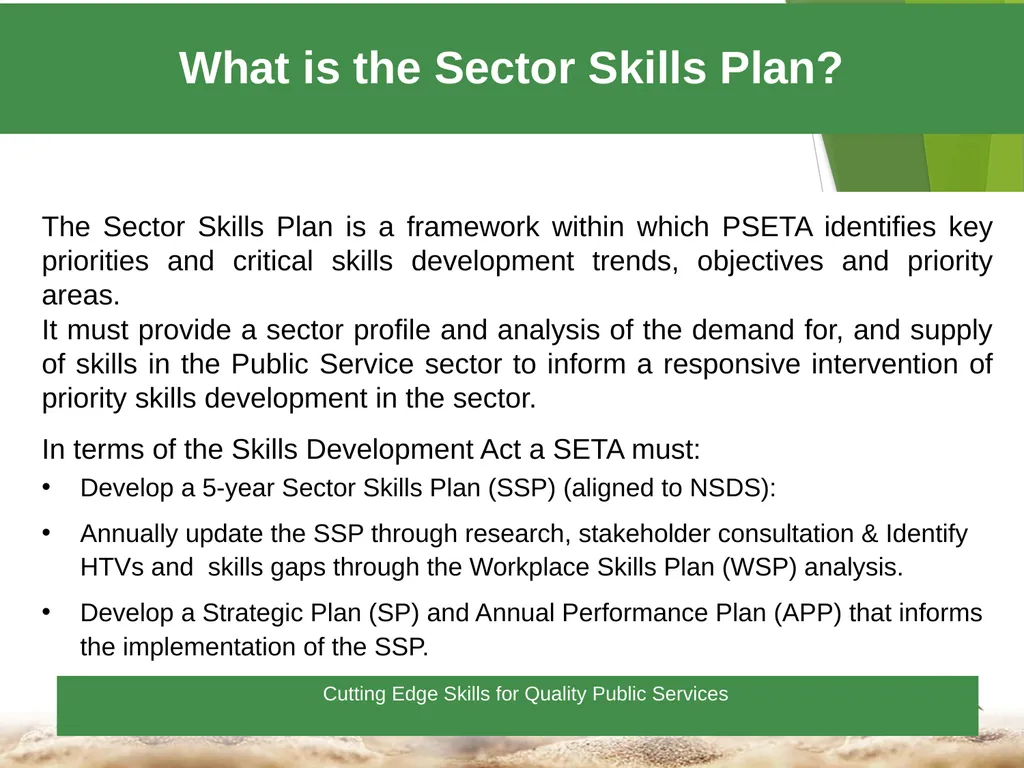 1 Towards a Skilled & Capable Public Service - slide 5 of 33