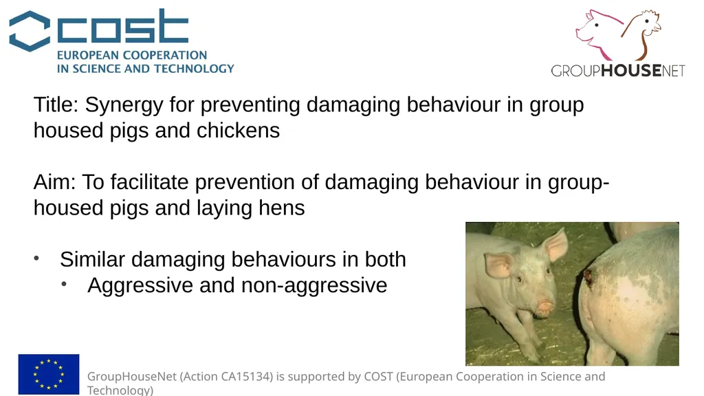 GroupHouseNet (Action CA15134) is supported by - slide 2 of 9