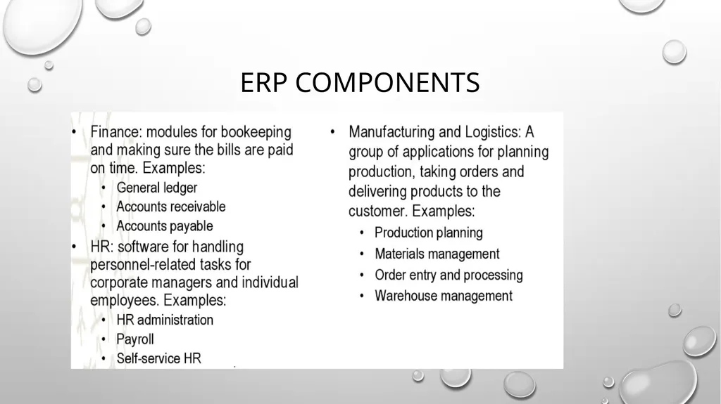 ERP Overview Presented by Jaya Agrawal Table of - slide 5 of 17