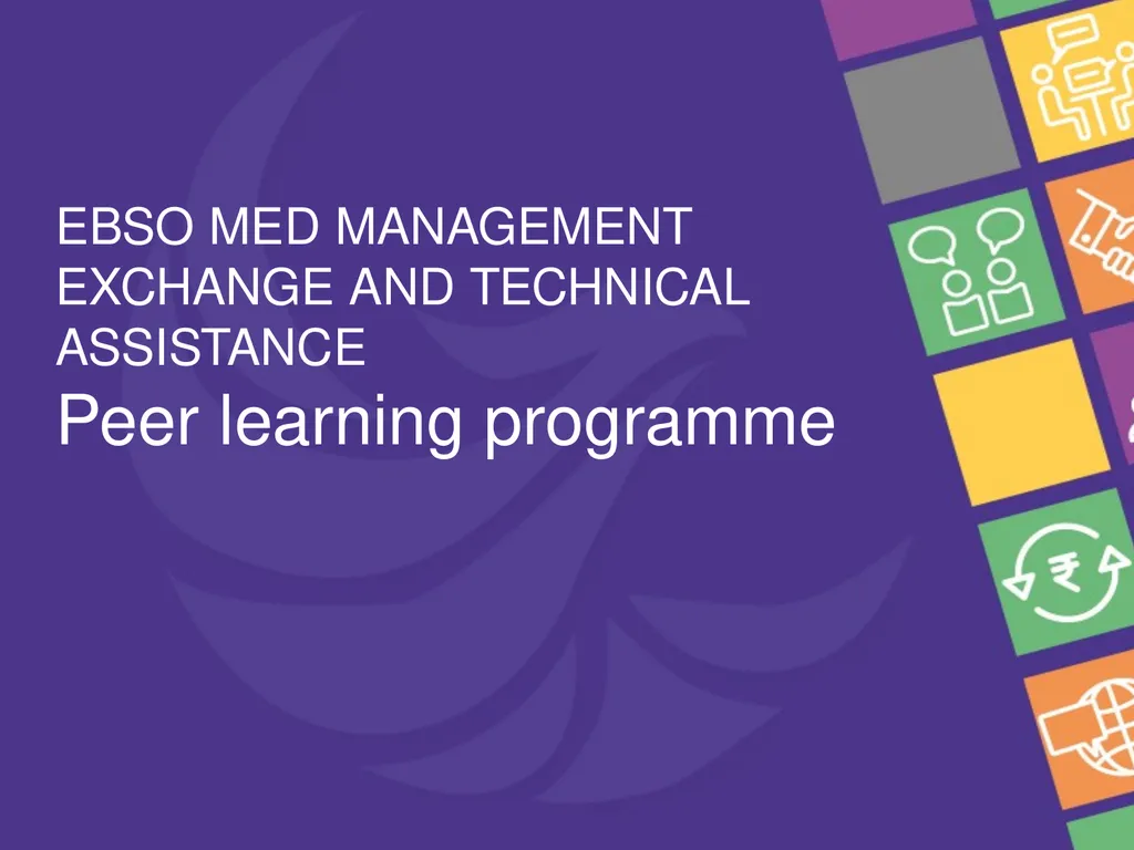 Capacity building and peer learning for investment - slide 7 of 10