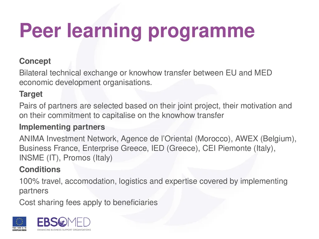 Capacity building and peer learning for investment - slide 8 of 10