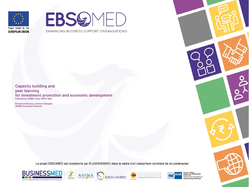 Capacity building and peer learning for investment