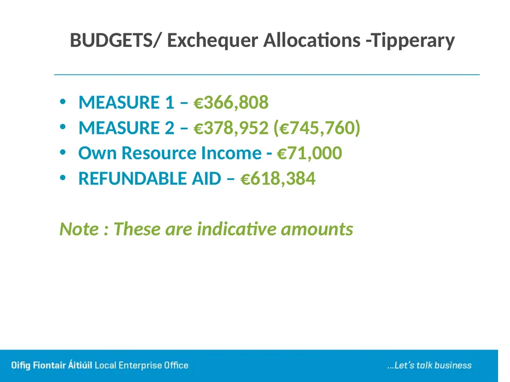 Local Enterprise Office Tipperary Presentation by - slide 11 of 28