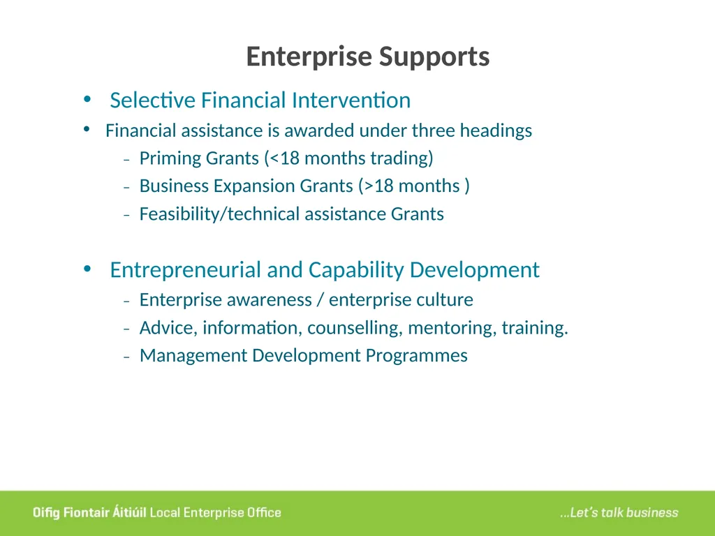 Local Enterprise Office Tipperary Presentation by - slide 4 of 28