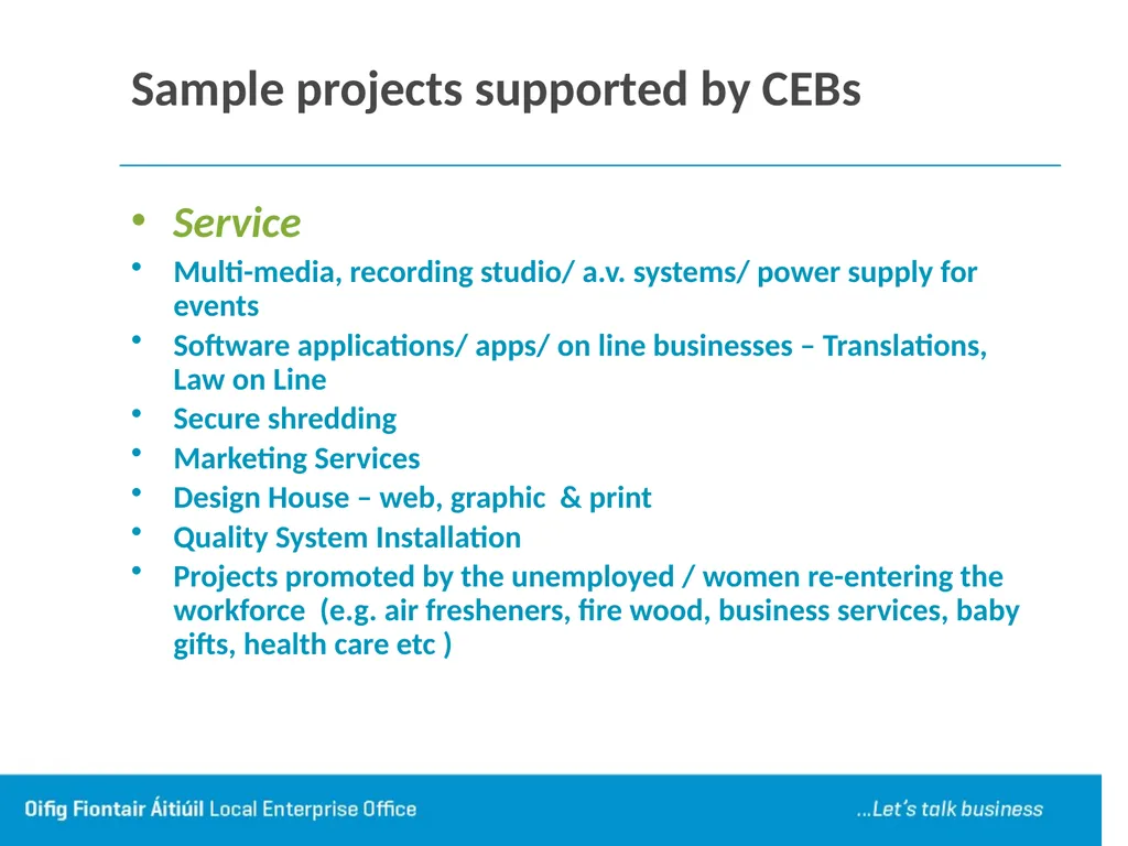 Local Enterprise Office Tipperary Presentation by - slide 13 of 28