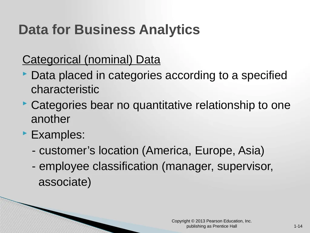 Chapter 1: Introduction to Business Analytics - slide 14 of 28