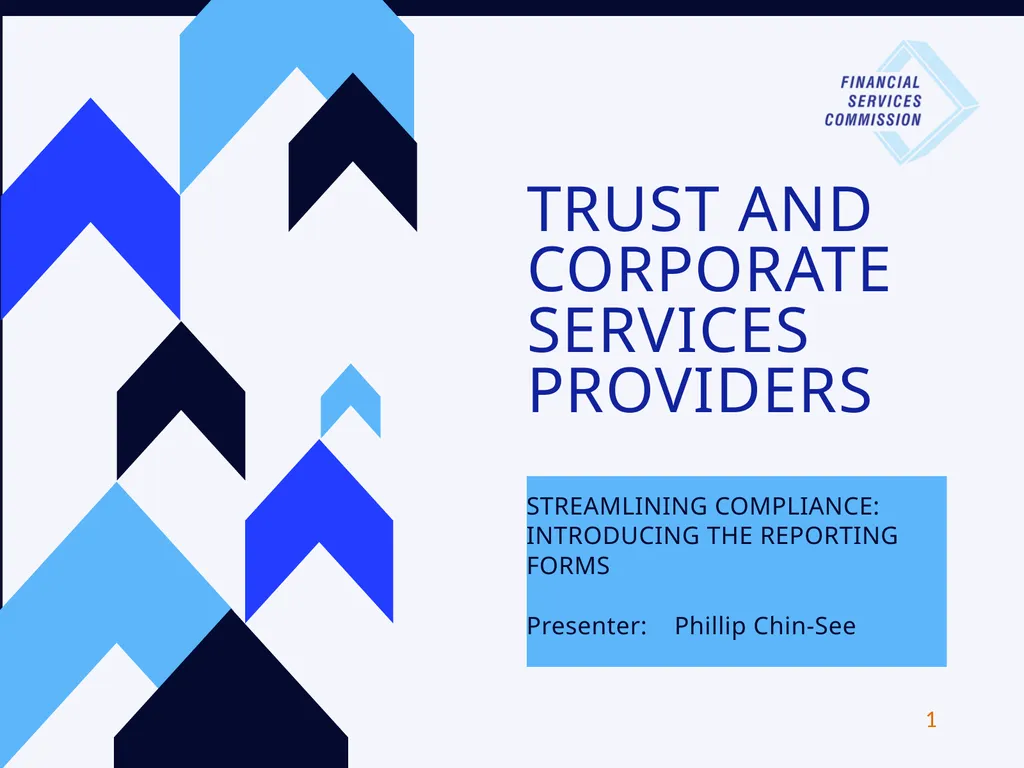 TRUST AND CORPORATE SERVICES PROVIDERS - slide 1 of 15