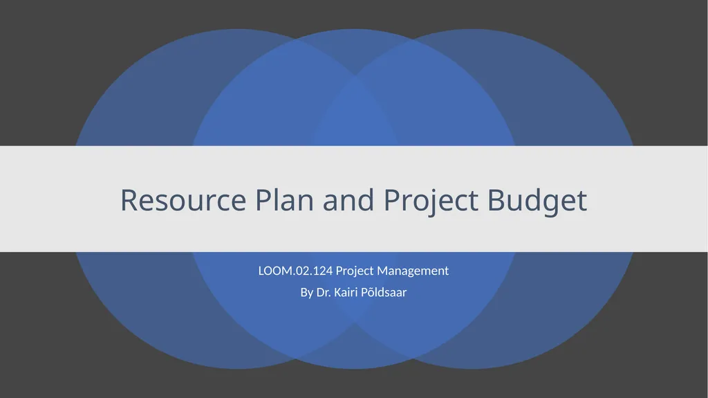 Resource Plan and Project Budget LOOM.02.124