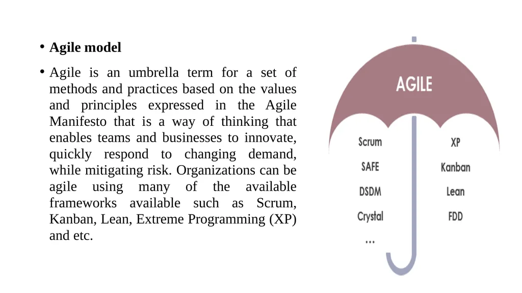 PROJECT LIFE CYCLE AND EFFORT ESTIMATION Software - slide 18 of 72