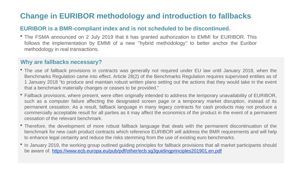 Working Group on Euro Risk-Free Rates Preparing - slide 21 of 26
