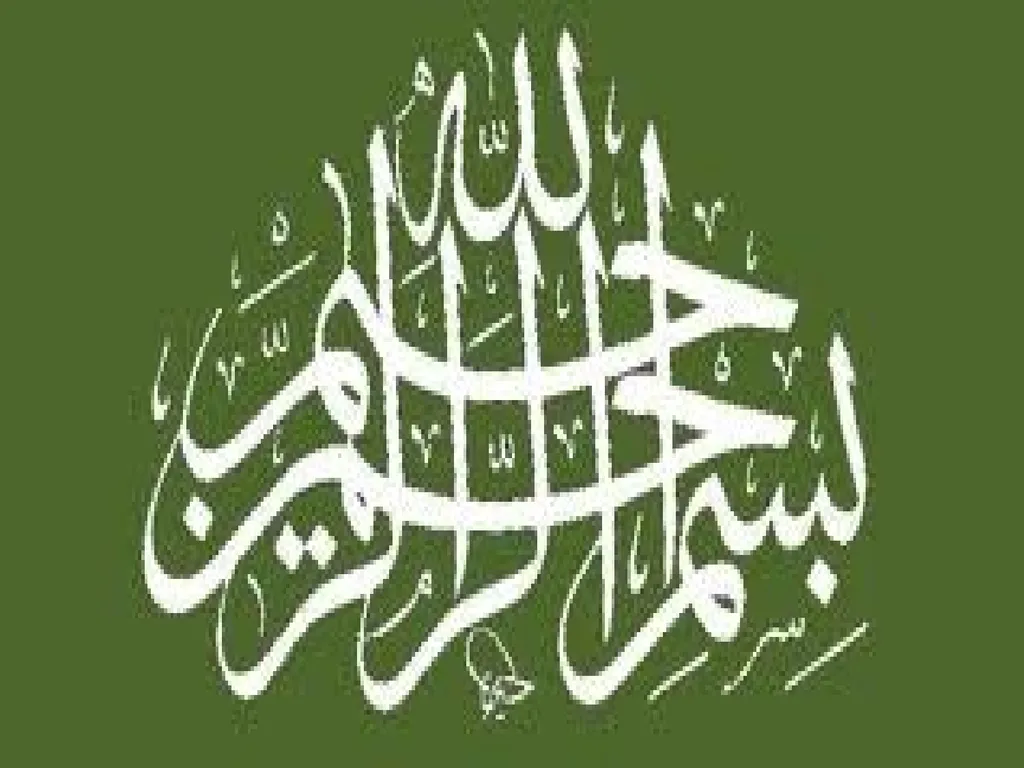 Kalsoom Dilawar Moqeet Ahmed Malka Nisar Mehwish