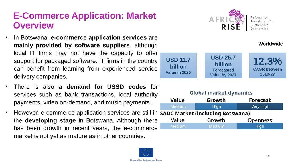 Africa RISE “Reform for Investment and Sustainable - slide 16 of 19