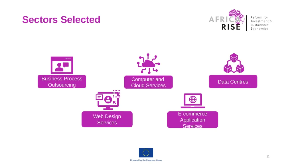Africa RISE “Reform for Investment and Sustainable - slide 11 of 19