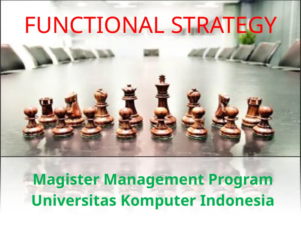 FUNCTIONAL STRATEGY Magister Management Program
