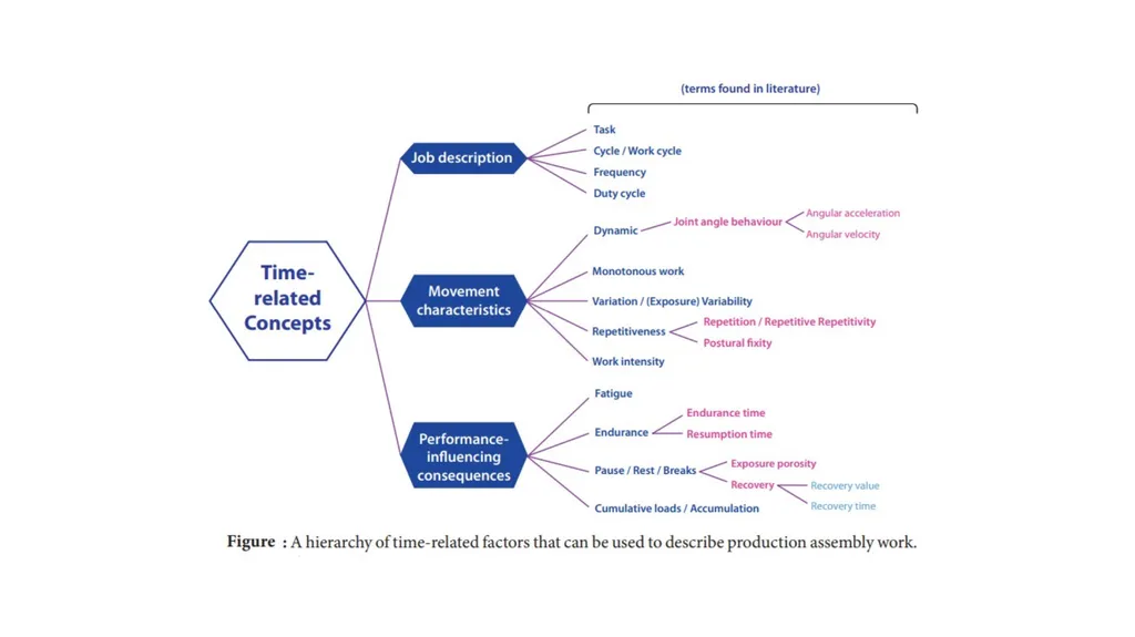 Human Factors Engineering Handout - I Dr. Shailaja - slide 10 of 11