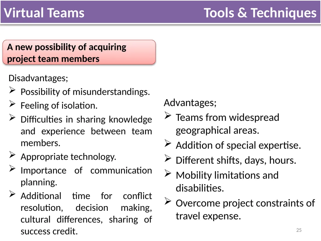 Lecture 5 Acquire Project Team OVERVIEW Acquiring - slide 25 of 31