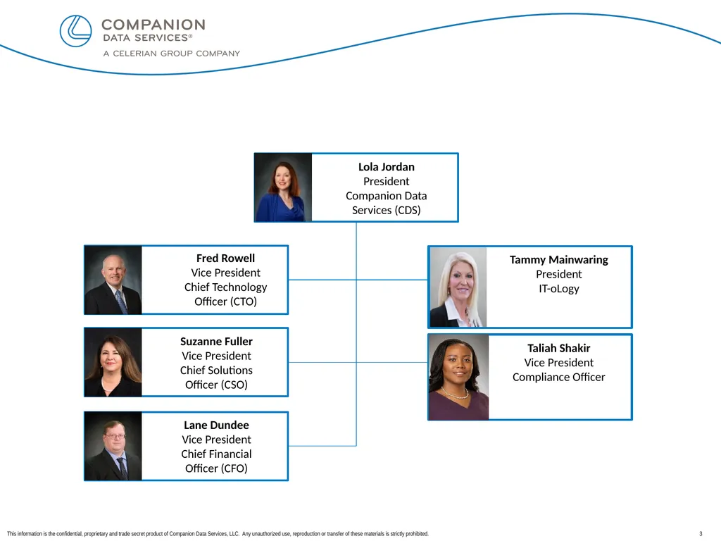 Overview of Companion Data Services, LLC Lola - slide 3 of 17