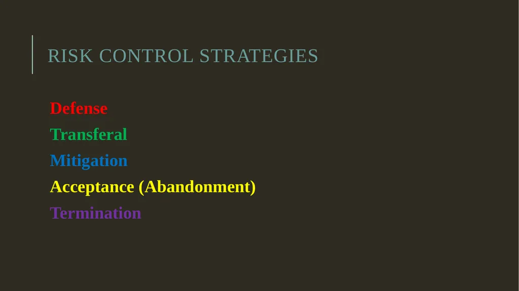 Security Risk Analysis and Management Risk - slide 14 of 22