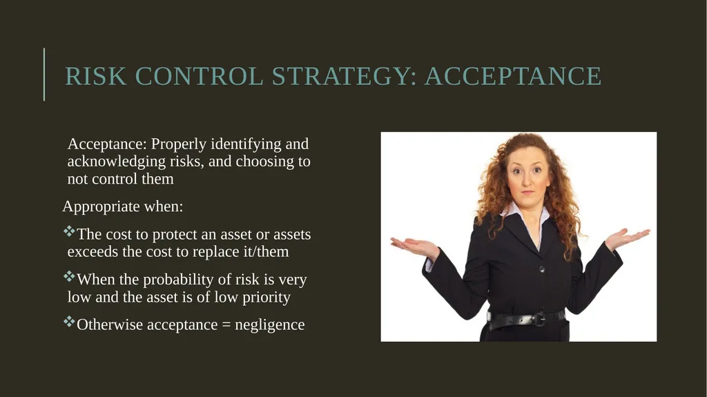 Security Risk Analysis and Management Risk - slide 18 of 22