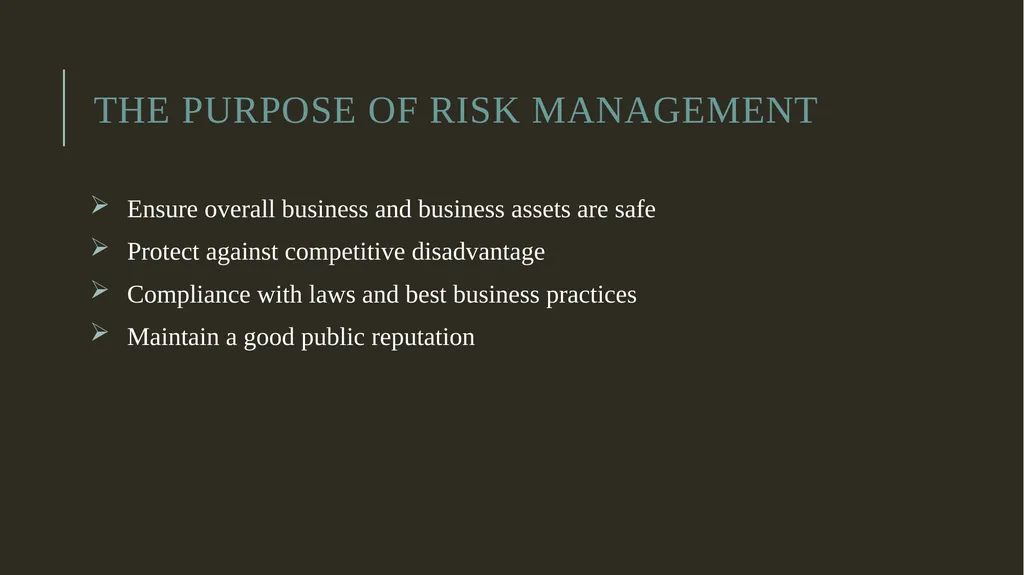 Security Risk Analysis and Management Risk - slide 3 of 22