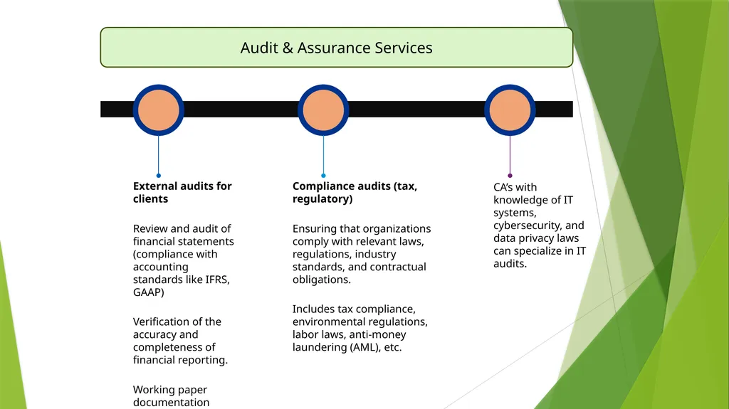 Opportunities for Chartered Accountants in - slide 8 of 13